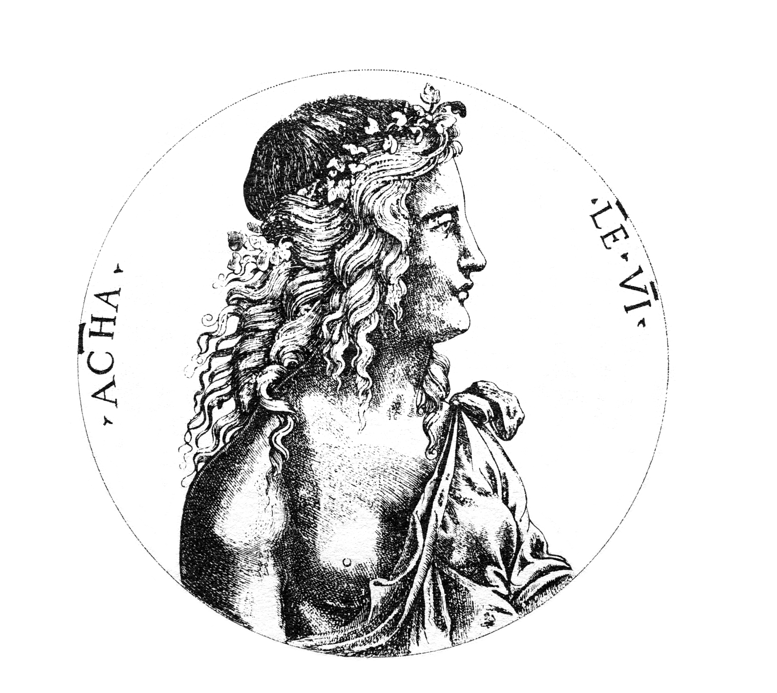 ACHADEMIA LEONARDI VINCI