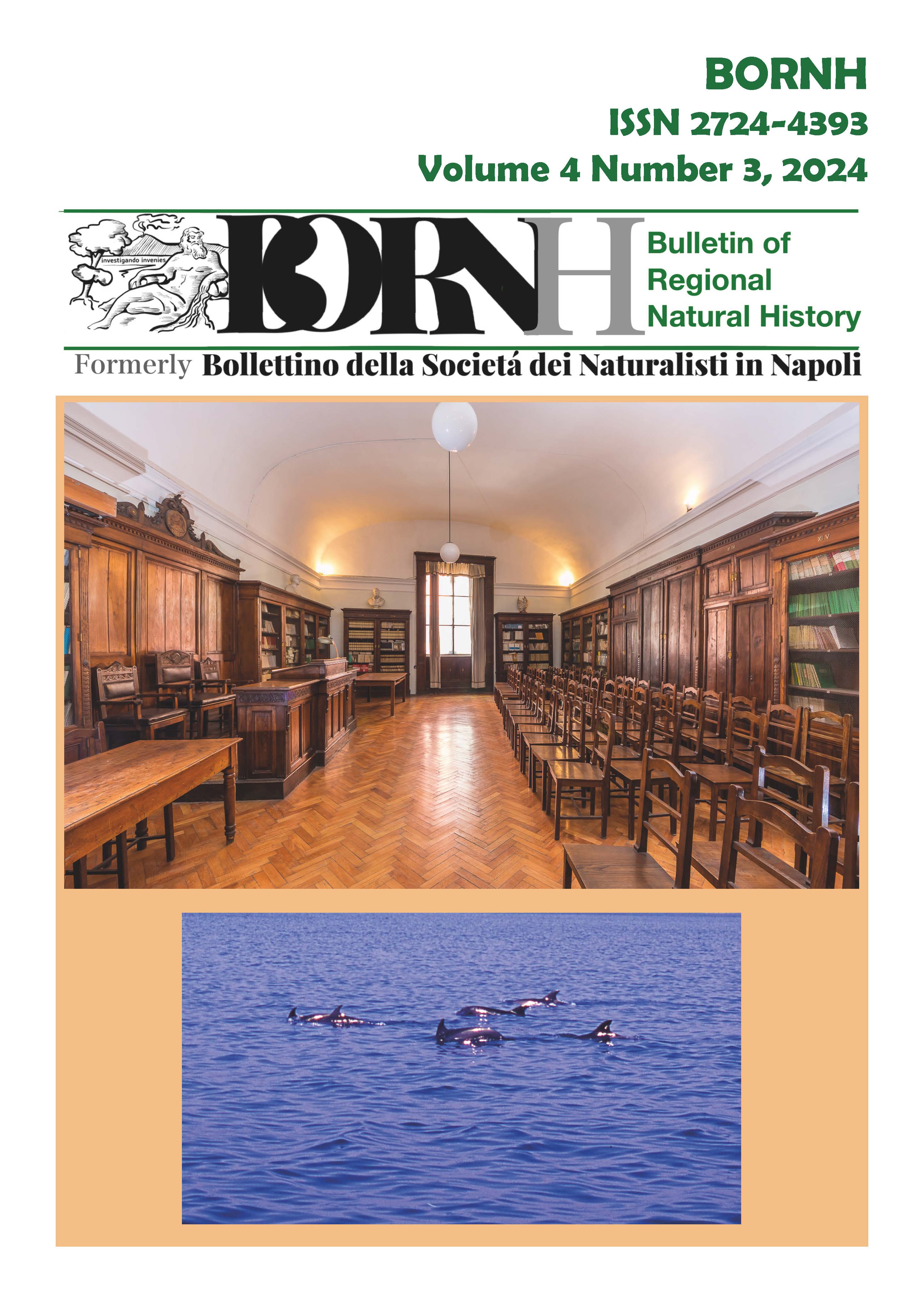 					Visualizza V. 4 N. 3 (2024): BORNH  03/2024
				